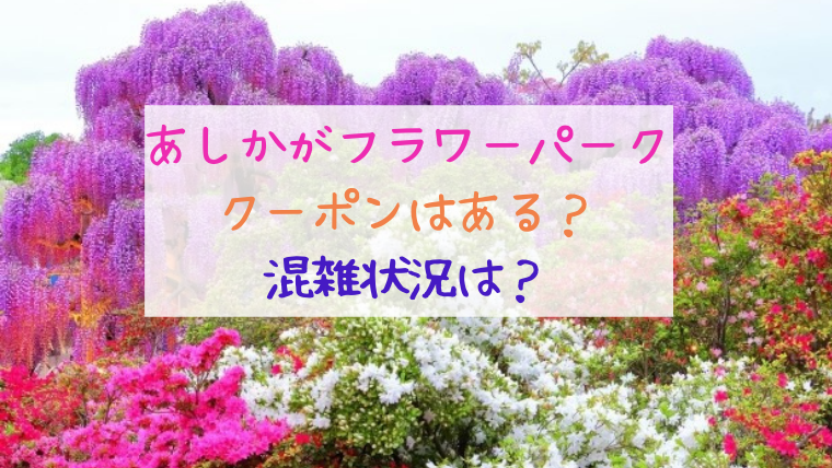 あしかがフラワーパーク クーポンはある？ 混雑状況は？